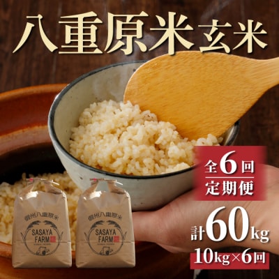 八重原米 玄米 10kg (5kg×2袋)