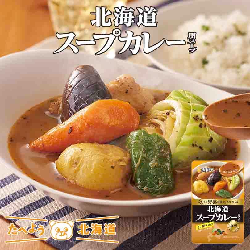 北海道アイ 北海道スープカレー用スープ 2個セット 送料無料 スパイス カレー 野菜 中辛 贈り物 プレゼント 人気 ご家庭で 簡単 万能 お土産 ギフト