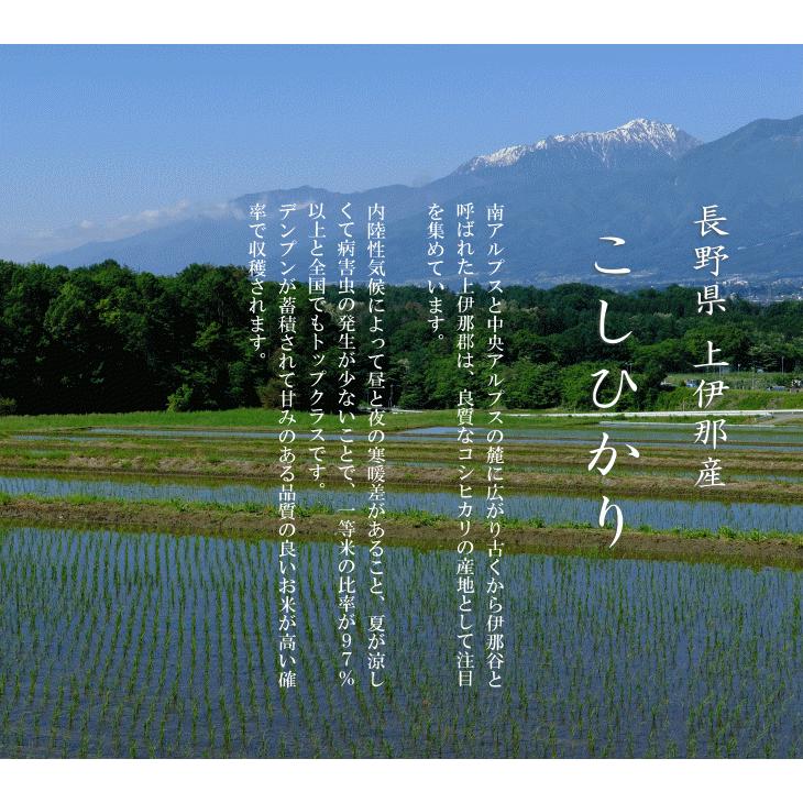 新米 令和５年産 長野県 上伊那産 こしひかり １等米 白米 ５kg×2袋