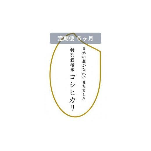 ふるさと納税 栃木県 日光市 令和5年産　特別栽培米コシヒカリ　白米10kg（5kg×2袋）