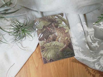 石虎-臺灣特有動物系列-特有亞種 台灣 明信片