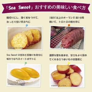 大洗産 さつまいも 紅はるか 2.5kg （8本前後） 「Sea Sweet」 長期熟成 茨城県産 サツマイモ 土付き 生芋 芋 さつま芋 薩摩芋 甘藷 べにはるか_CF002