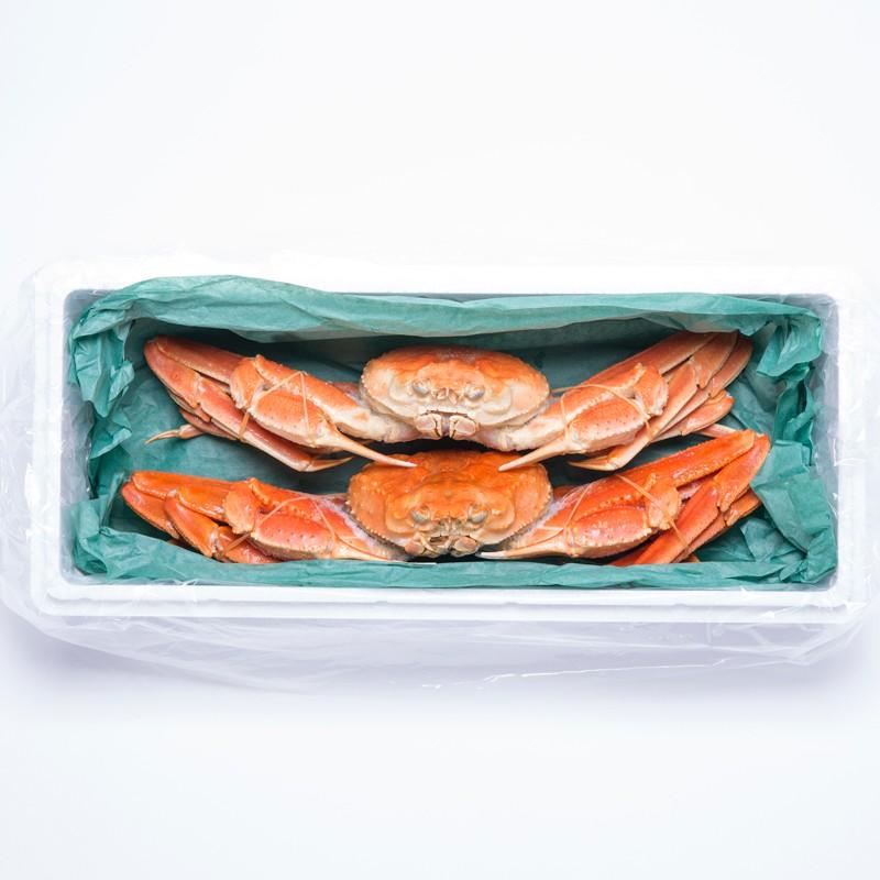 ズワイガニ 姿 セット 冷凍 ボイル 蟹 かにみそ 甲羅焼き ずわいがに 札幌蟹販株式会社 北海道 送料無料 ポイント消化