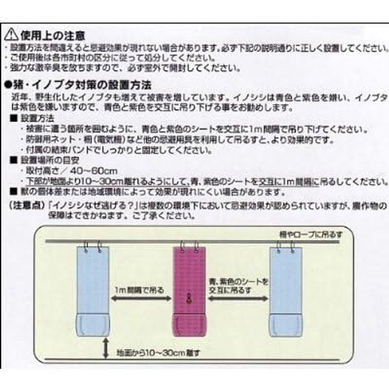 イノシシなぜ逃げる 6シート入 HBI-6