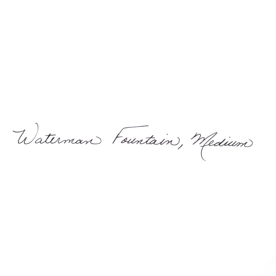 Waterman Expert Gift Box includes Medium Nib Gold Trim Fountain Pen Stainless Steel 万年筆 (並行輸入品)[並行輸入品]