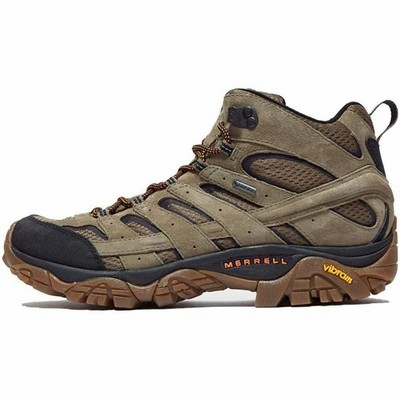 MOAB 2 LTR MID GTX　並行輸入品