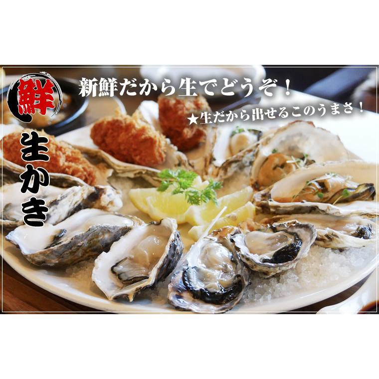 弁天かき A3(Lサイズ)20個セット 北海道産 牡蠣 カキ 殻付き 生食 お歳暮 ギフト 送料無料