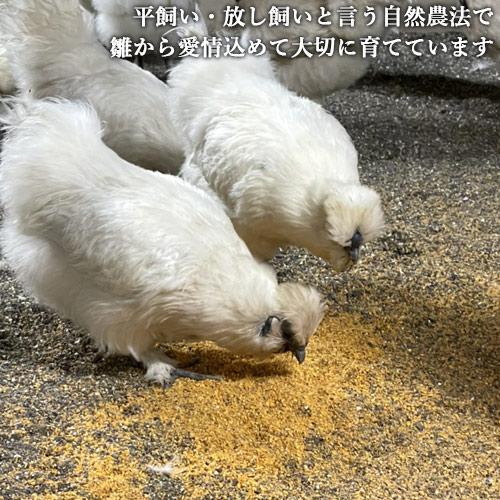 のびのび放し飼い 平飼い烏骨鶏のたまご 6個入り×2パックセット 高級卵 烏骨鶏の卵 栄養豊富 国産 九州産 大分県産 冷蔵 元さん農園 海九