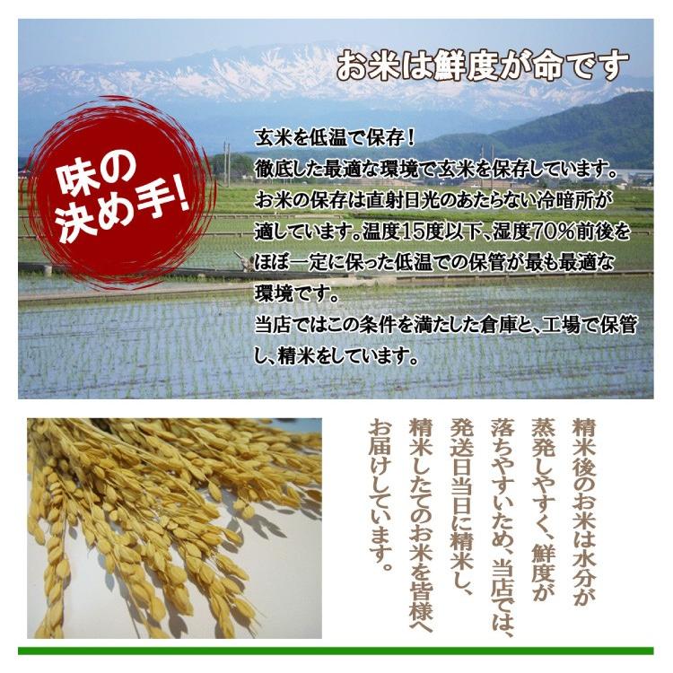 白米 10kg (5kg×2) 山形県産 はえぬき 米 お米 精米済 令和5年（送料無料）