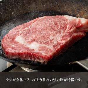 ふるさと納税 宮崎牛 ロース ステーキ 2枚 500g【肉 牛肉 牛 国産 宮崎県産 牛 宮崎牛 黒毛和牛 牛 和牛 ステーキ BBQ 4等級  A4ランク ロース  .. 宮崎県川南町