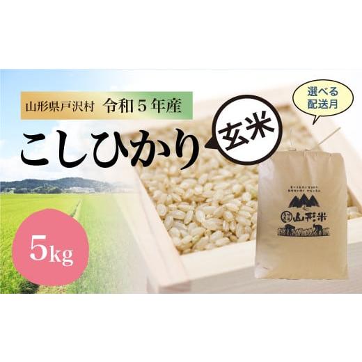 令和5年産 コシヒカリ  5kg（5kg×1袋） ＜配送時期指定可＞ 山形県 戸沢村