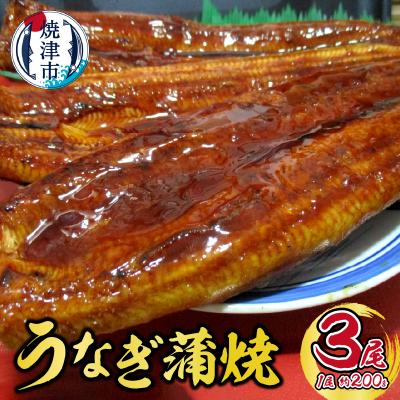 ふるさと納税 焼津市 スギヤマ 国産 うなぎ 約160g×3尾(a18-017)