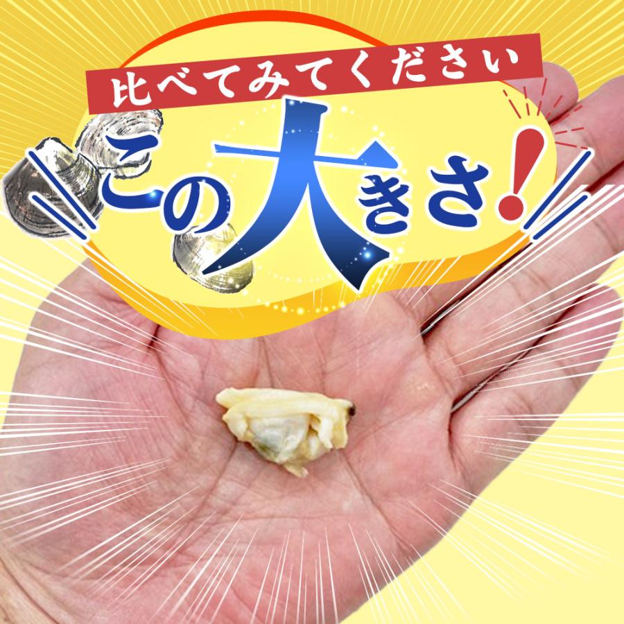 北海道厚岸産 天然むきあさり 500gとれたて 美味いもの市