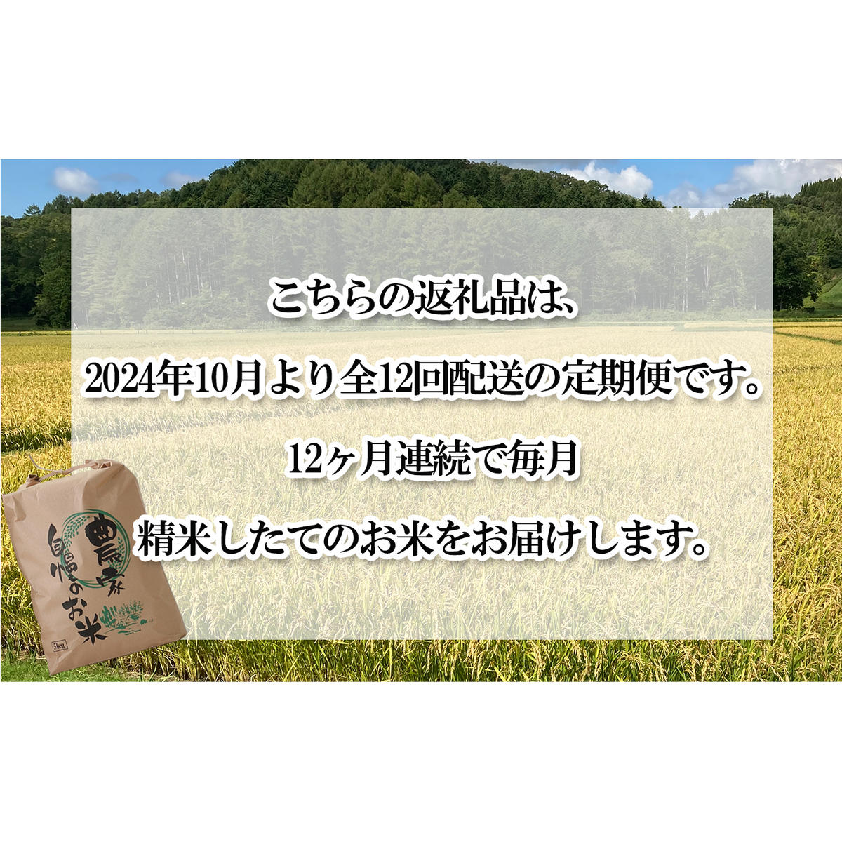 ＜ 予約 定期便 全12回 ＞ 北海道産 希少米 おぼろづき 白米 5kg ＜2024年10月より配送＞