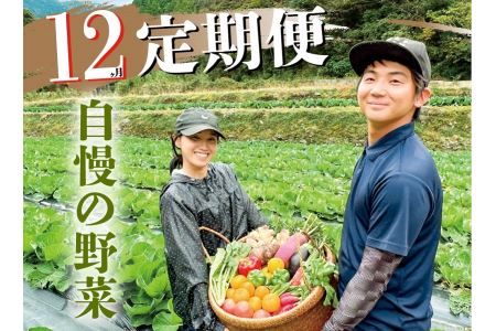 新鮮野菜BOX定期便(12カ月便）8～12種