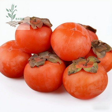 青禾園藝（柿子種子大全）牛心柿種子軟黑柿子種子無核柿子種子日本甜柿種子精品種子磨盤柿種子四季種植#台灣自留種