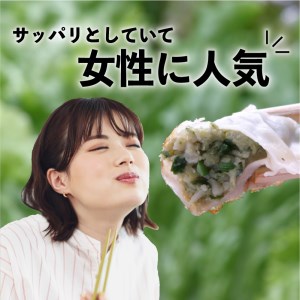 ちゃこばあちゃんの黒豚入りうんまか・しそ生餃子　計48個入り　K027-004 薩摩 さつま 大人気餃子 人気餃子 鹿児島産餃子 鹿児島県産餃子 餃子三昧 餃子セット しそ 紫蘇 しそ生餃子 しそ餃子 大人気黒豚 人気黒豚 鹿児島産黒豚 鹿児島県産黒豚 お弁当 おかず キャンプ 点心 中華 中華料理 飲茶 黒豚入り餃子 生餃子 ちゃこばあちゃん 焼き餃子 水餃子