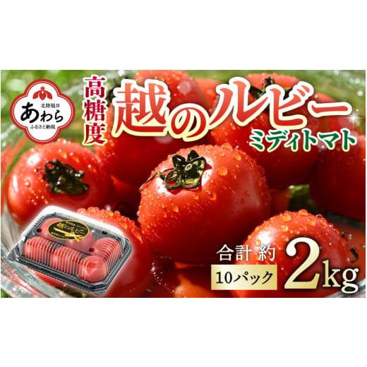 ふるさと納税 福井県 あわら市 高糖度 ミディトマト 越のルビー 約2kg 10パック（50〜70個入）／ 福井県産ブランドトマト 農家直送 有機肥料 低農…