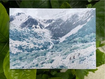 鴨寶 Where's Hazel_台灣山岳系列插畫明信片