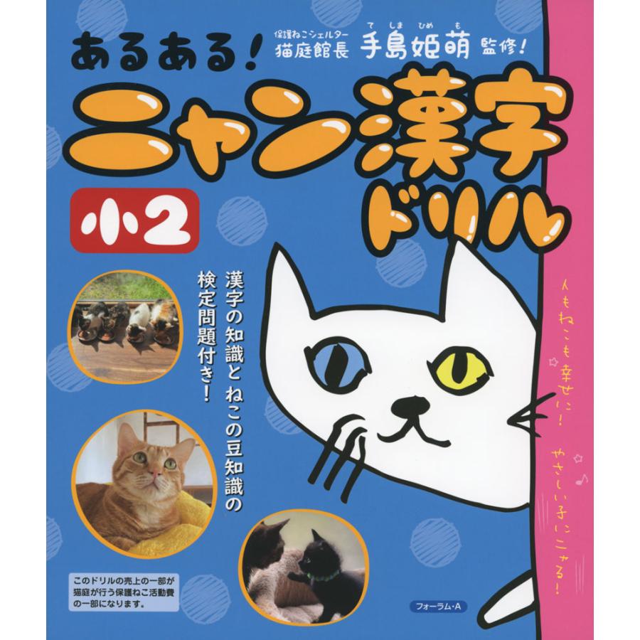 あるある ニャン漢字ドリル 小2