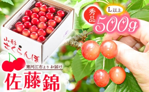 令和6年産 山形の さくらんぼ 「佐藤錦」 500g 秀品・L以上 山形産 2024年産　012-A-JA001