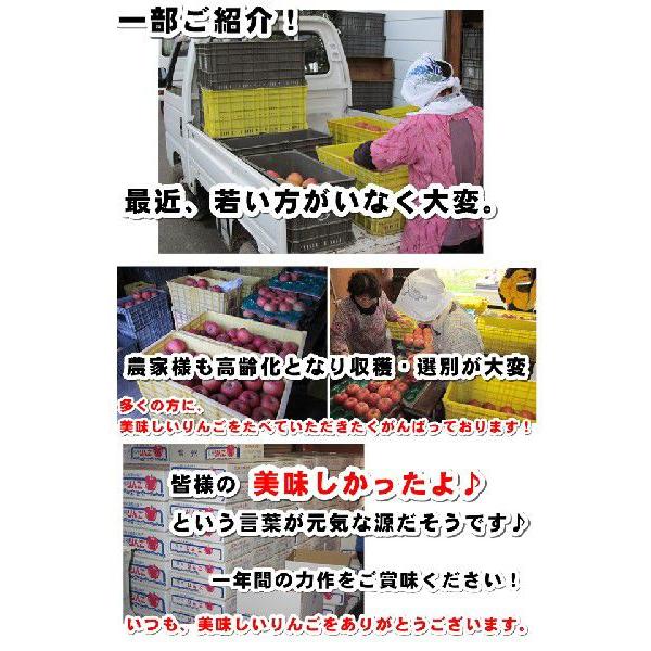 限定クーポンあり長野 サンふじりんご ギフトにも人気  秀品 信州産 5kg11玉〜18玉長野サンふじりんご　ギフトリンゴに　さんふじりんご お歳暮