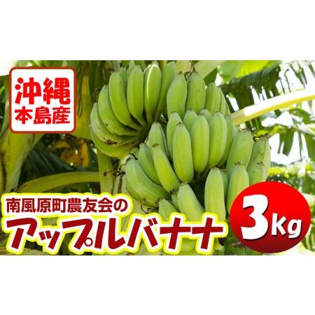 ふるさと納税 沖縄本島産 南風原町農友会の「アップルバナナ」　3kg 沖縄県南風原町