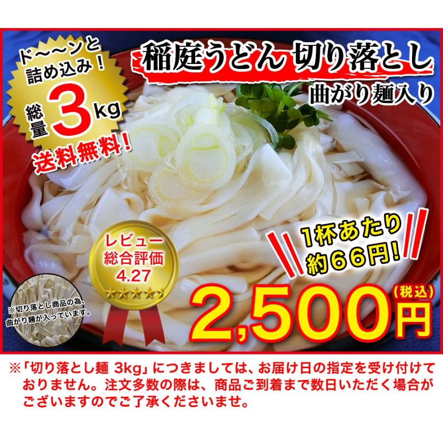 全商品オープニング価格 なかむらうどん かけつゆ 1杯分