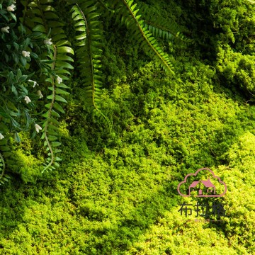免運 公司貨 仿真 綠植苔蘚青苔塊草皮人造仿真植物造景材料戶外草坪櫥窗裝飾道具 可開發票 全館五折 工廠現貨直銷 新品特價 BLGQHSH1225