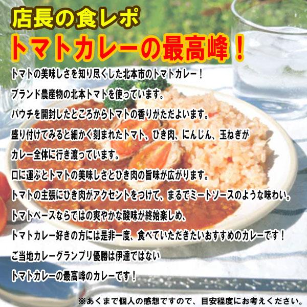 北本トマトカレー カレー レトルト 中辛 200ｇ レトルト食品 レトルトカレー トマト 北本 埼玉 ご当地カレー ご当地グルメ 食レポ