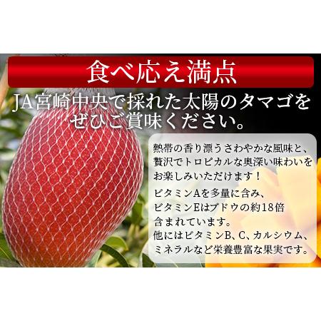 ふるさと納税 予約受付！数量限定＜宮崎県産 太陽のタマゴ A等級 2Lサイズ×3玉（合計約1kg）＞2024年4月下旬〜2024年6月下旬.. 宮崎県国富町