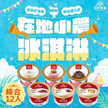 【百年枝仔冰城】小農經典冰淇淋綜合組（6口味共12杯）_廠商直送