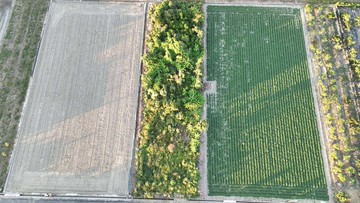 獨家近大全聯近子龍國小有水有電臨4-5米路農地｜台南市佳里區民安段