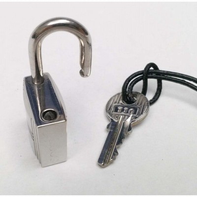 美品】エルメス カデナ 南京錠 鍵 110番 バーキン ケリー ピコタン  