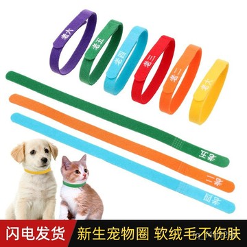 [24時熱賣]幼寵識別圈 識別項圈 生產記號帶 印字新生寵物識別圈脖子標識小狗貓咪區分辨別項圈奶狗幼貓記號繩 ZYCN