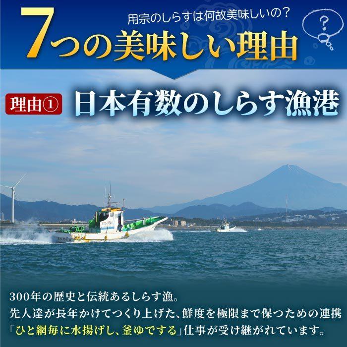 鮮度抜群！静岡県産 生しらす＆釜揚げしらす1kgセット シラス しらす 生シラス 釜揚げ 冷凍 用宗港 駿河湾 しらす丼 静岡産 グルメ