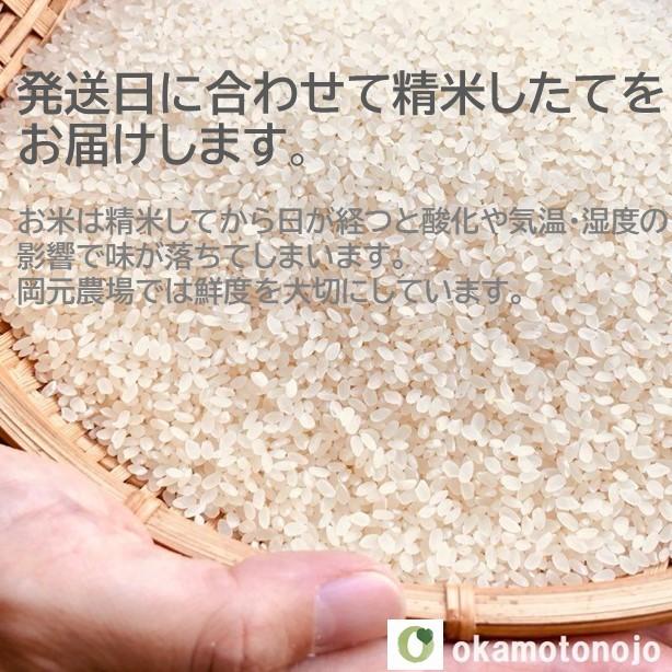 　お米　ひゃくまん穀　5合　お試し米　一等米　石川県産　白米　精白米　玄米　生産農家　農家直送米