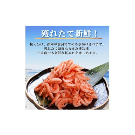 ふるさと納税 静岡県 焼津市 a10-680　焼津特選 釜揚げ桜えび100g×3