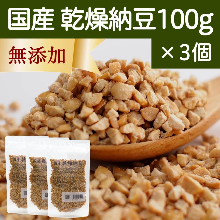 乾燥納豆 100g×3個 ドライ納豆 ひきわり納豆 無添加 犬 国産