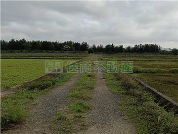 睦家＊新屋大坡農地｜桃園市新屋區大坡段大坡小段