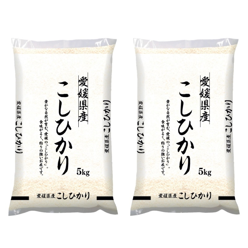 令和4年産 愛媛県産 こしひかり 10kg 米 お米 白米 おこめ 精米 単一原料米 ブランド米 10キロ 国内産 国産