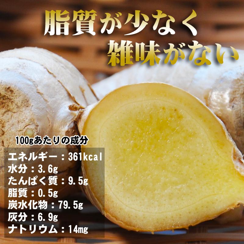 鳥取県産 熟成 生しょうが 2kg 茲矩(これのり)生姜 はらだ農産 産地直送 ショウガ ジンジャー