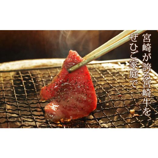 ふるさと納税 宮崎県 新富町 ＜宮崎牛＞焼肉セット（バラ・モモ・ウデ）合計450g