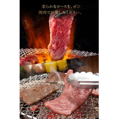 ふるさと納税 南九州市 鹿児島県産黒毛和牛ロース焼肉用400g