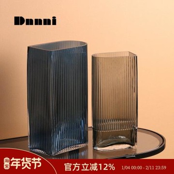 Dnnni幾何形玻璃花瓶現代簡約豎紋水培插花器家居樣板間桌面擺設