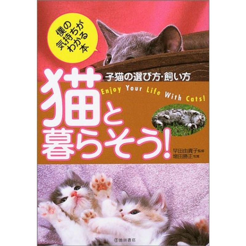 猫と暮らそう?子猫の選び方・飼い方