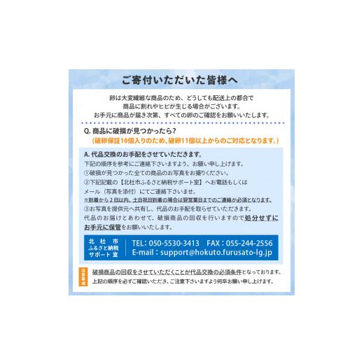 ふるさと納税 山梨県 北杜市 ハイチックのたまご　160個（破卵保証10個含む）