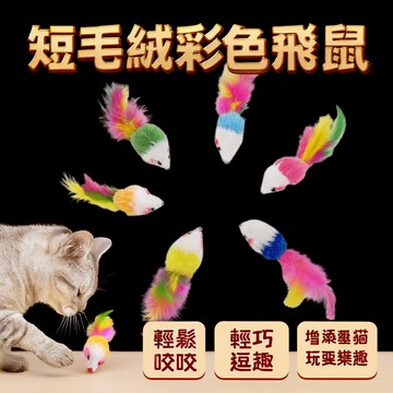 貓玩具 仿真毛絨鼠 短毛絨彩色飛鼠