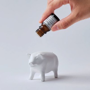 日本 BALLON｜造型擴香石(不含精油) - 走路小豬