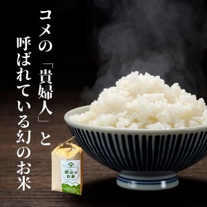 ササニシキの親　農薬不使用のササシグレ「郷山のお米」5kg（精米）